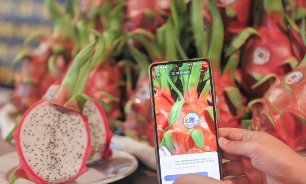Mã QR cho phép truy xuất dấu chân carbon của trái thanh long.