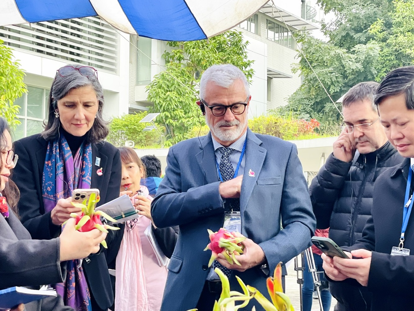 D&ugrave;ng điện thoại qu&eacute;t m&atilde; QR tr&ecirc;n tr&aacute;i thanh long sẽ truy xuất được dấu ch&acirc;n carbon trong qu&aacute; tr&igrave;nh sản xuất của tr&aacute;i thanh long.