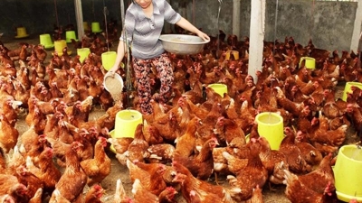 Agri exports to China expected to boom