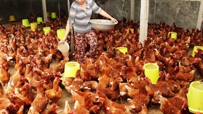 Agri exports to China expected to boom