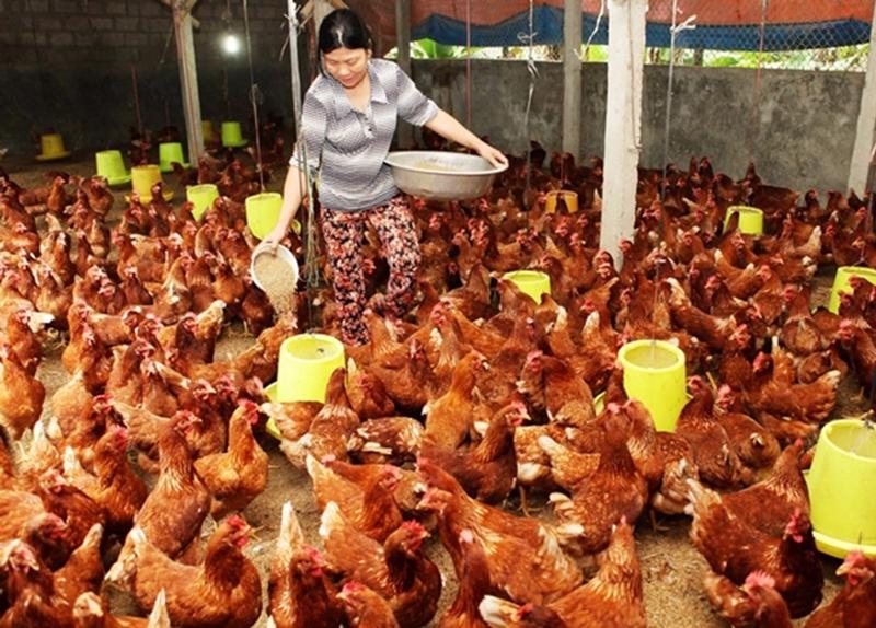Agri exports to China expected to boom