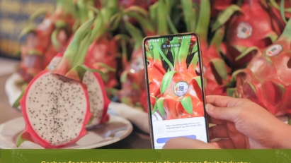 Binh Thuan & Bac Lieu move towards green production