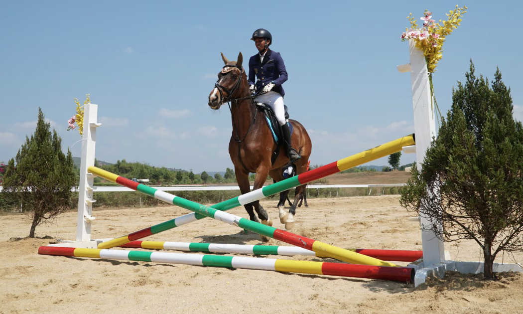 Ngựa biểu diễn tại dự án Trường Đua ngựa Thiên Mã – Madagui – Câu lạc bộ Polo (tỉnh Lâm Đồng).