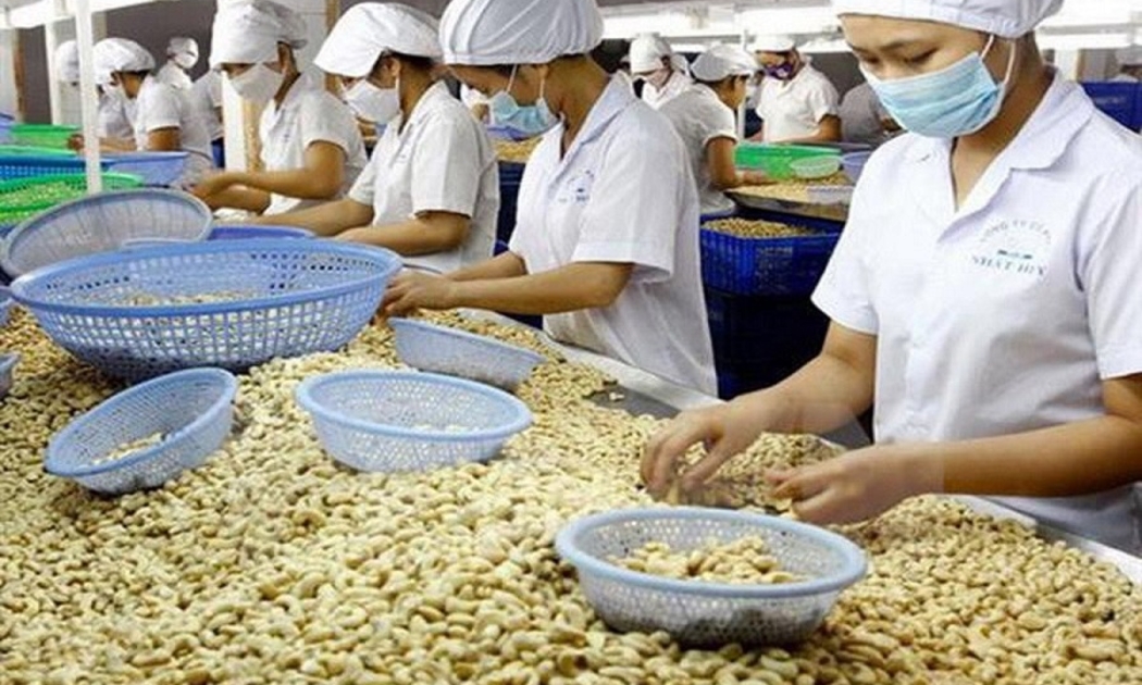 Doanh nghiệp kỳ vọng việc triển khai Nghị quyết 02 sẽ tháo gỡ cách căn cơ, dứt điểm các rào cản, tồn tại về thể chế đang làm ảnh hưởng đến sự phát triển của doanh nghiệp trong năm 2024.