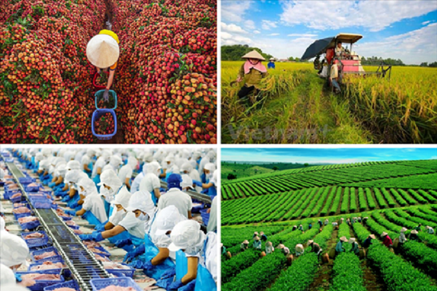 Việt Nam đang nỗ lực chuyển đổi, hướng tới phát triển nền nông nghiệp sinh thái, trung hòa carbon bên cạnh mục tiêu an ninh lương thực.