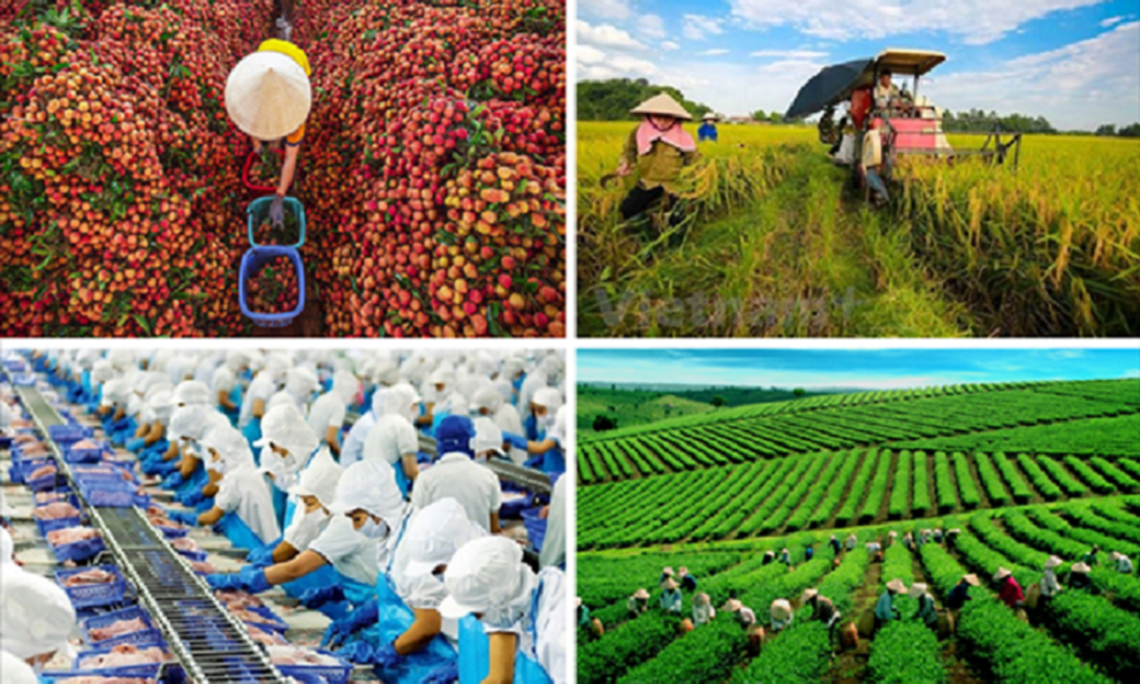 Việt Nam đang nỗ lực chuyển đổi, hướng tới phát triển nền nông nghiệp sinh thái, trung hòa carbon bên cạnh mục tiêu an ninh lương thực.