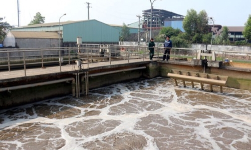 Nhiều doanh nghiệp tại Quảng Bình sai phạm về môi trường