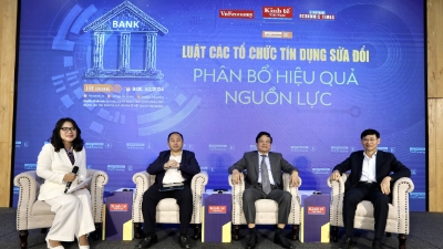 Amended Law on Credit Institutions the focus of VnEconomy online dialogue