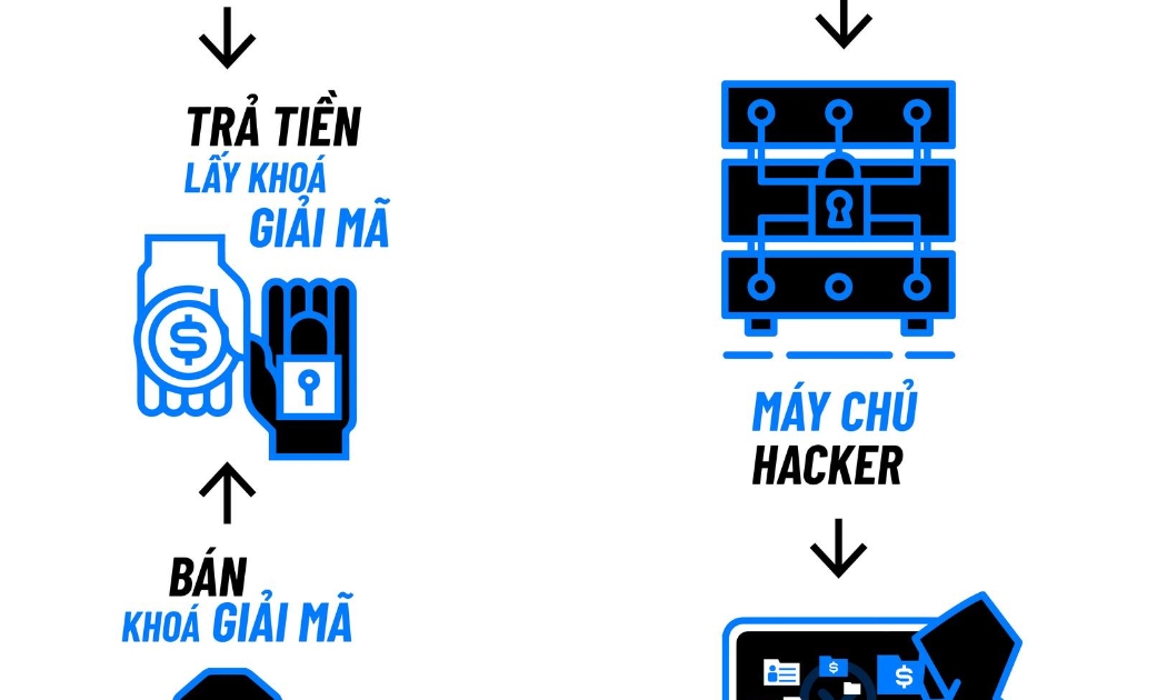 Nạn nhân buộc phải trả một khoản tiền để “chuộc” lại khoá giải mã dữ liệu (key) -  Ảnh minh họa.