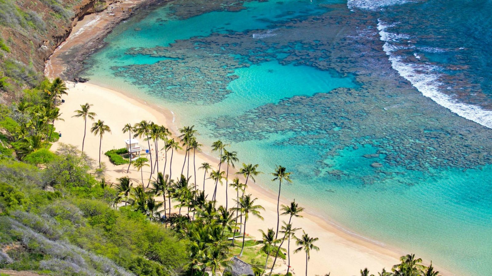 Chương tr&igrave;nh k&iacute;ch cầu 