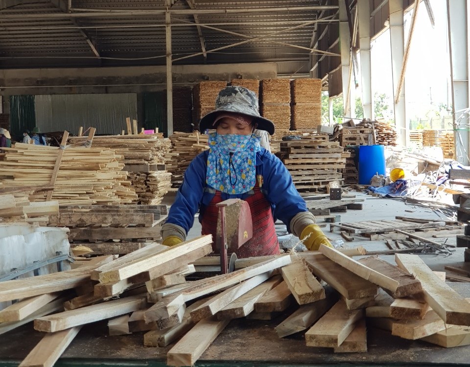 Forestry exports rose 72.5% year-on-year in January. Photo: VGP