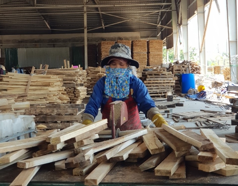 January agro-forestry-fisheries exports up 79%