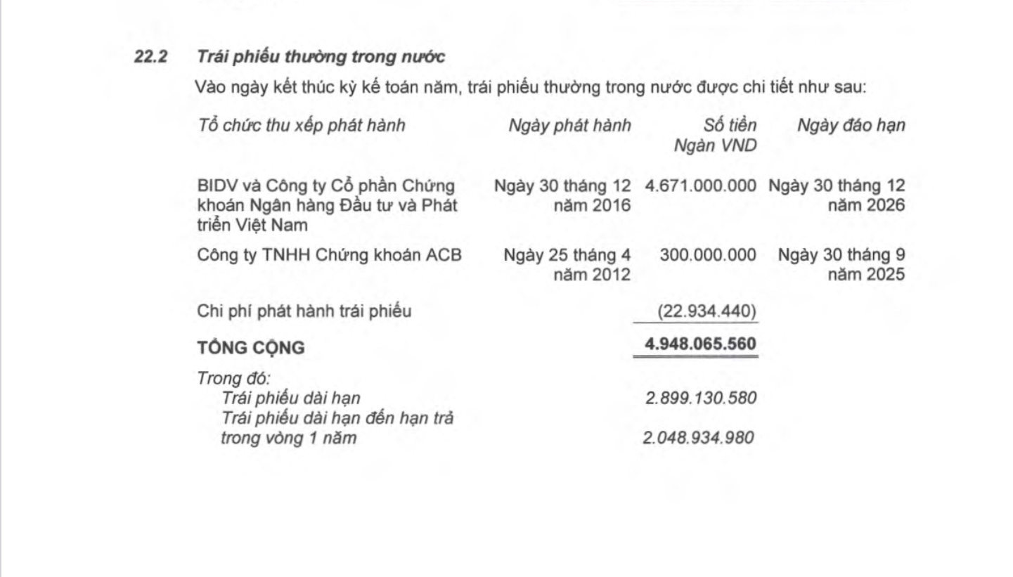 BCTC hợp nhất 2023 của HAG