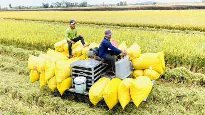 Philippines a market of potential for Vietnamese exports