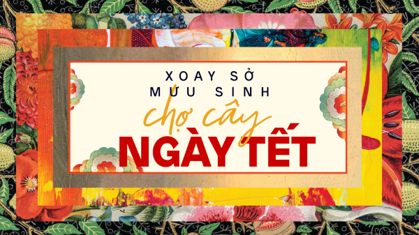 Xoay sở mưu sinh chợ cây cảnh Tết