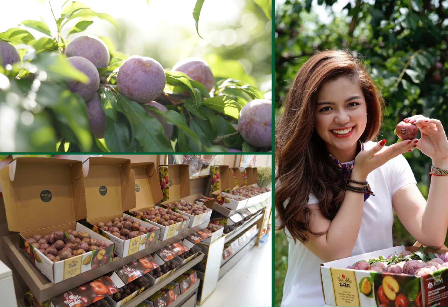Nữ doanh nhân nâng trái cây Việt lên tầm quốc tế - Ảnh 7