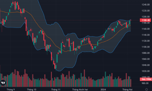 Sát Tết, dòng tiền vẫn miệt mài mua bán, khối ngoại xả ròng đột biến
