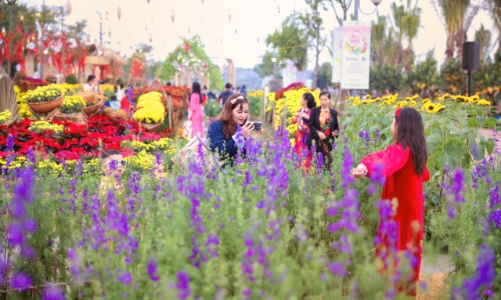 Trải nghiệm không khí Tết tại đường hoa Home Hanoi Xuan 2024
