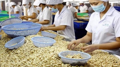 Exports to Saudi Arabia must follow Halal certification requirements