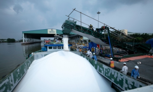 Phân bón Cà Mau chính thức bước vào thị trường Úc và New Zealand 