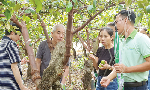 Sản xuất tuần hoàn: “Cuộc cách mạng xanh” trong nông nghiệp