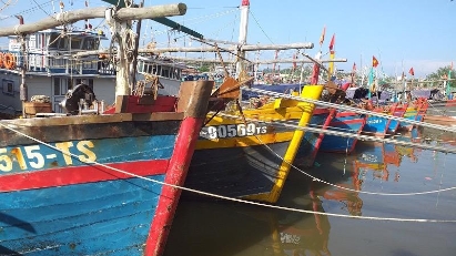 Hai Phong invests in developing its seafood industry