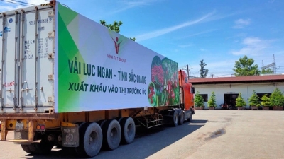 PM asks for development of logistics services for farm produce