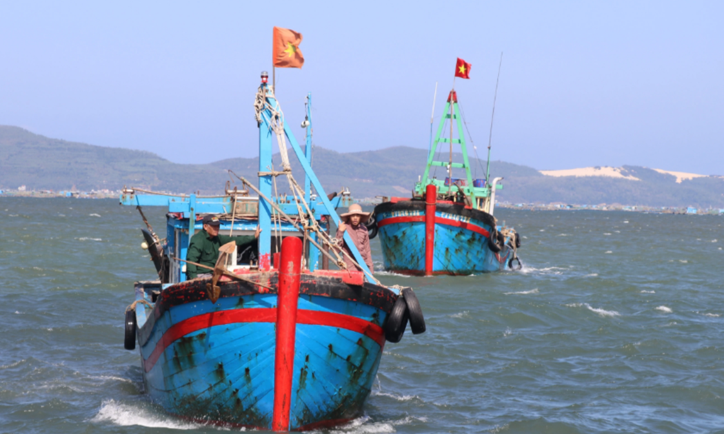 Phải quản lý chặt tàu cá.