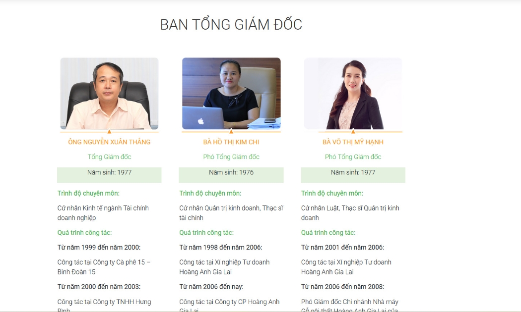 Ban lãnh đạo Công ty HAGL.