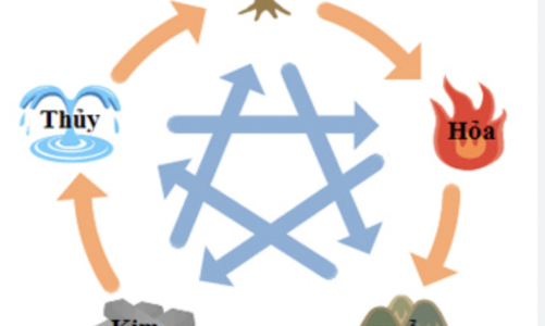 Lựa chọn cổ phiếu đầu tư theo phong thủy ngũ hành năm 2024 