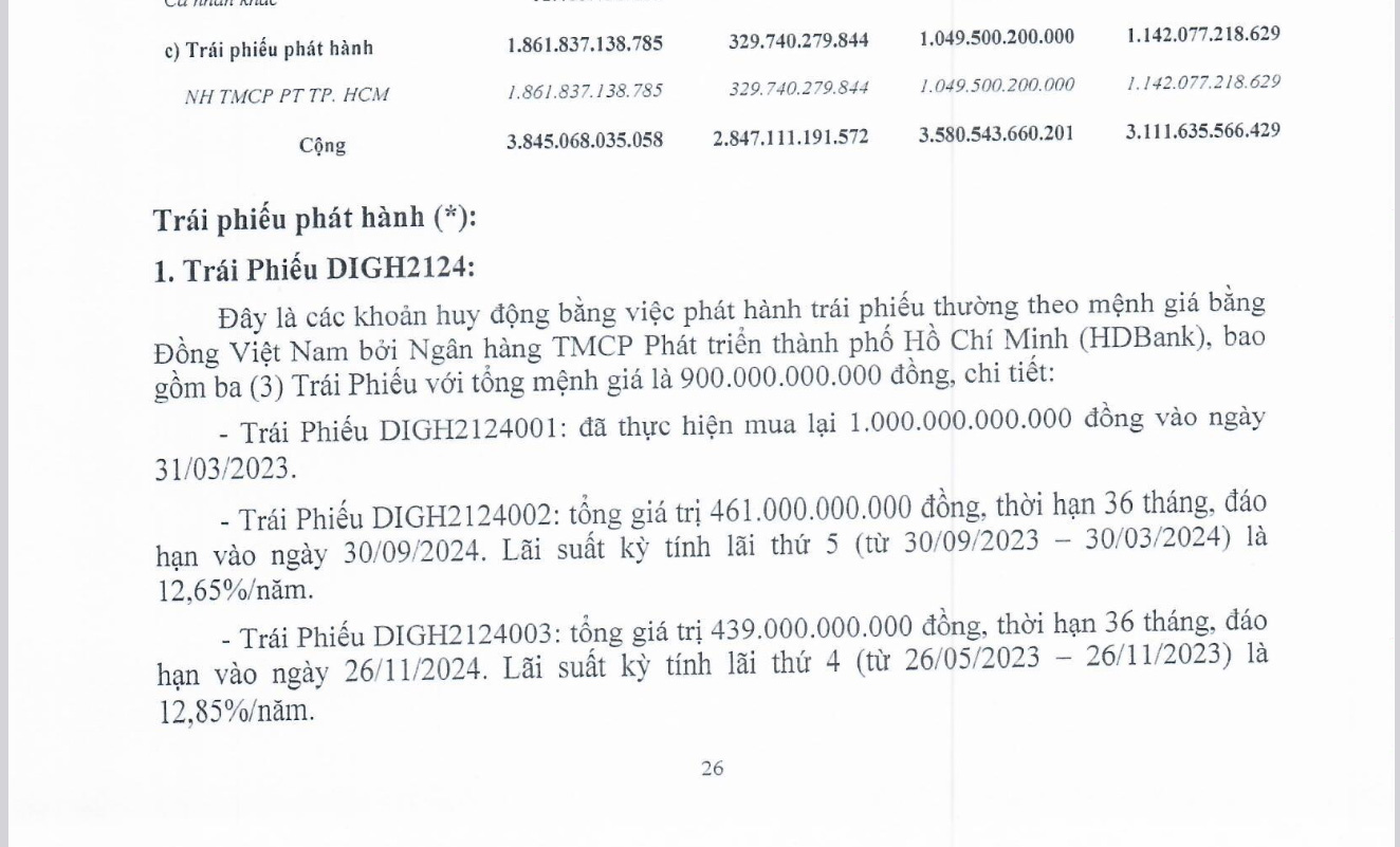 BCTC hợp nhất quý 4/2023 của DIG