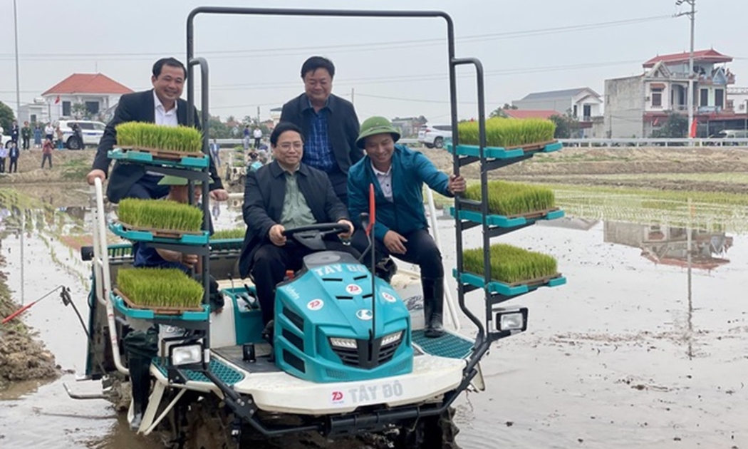 Thủ tướng lái máy cấy trên cánh đồng