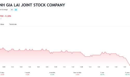 Con gái Chủ tịch HAG bán thành công 2 triệu cổ phiếu