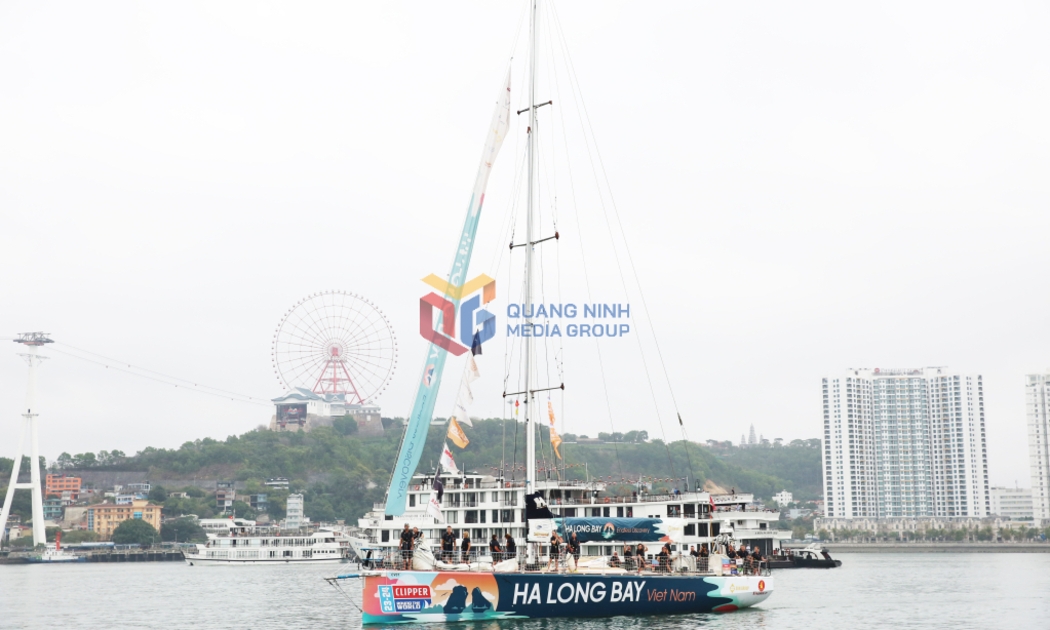 Đội đua thuyền buồm Ha Long Bay, Viet Nam hoàn thành chặng đua thứ 5 ở vị trí số 5 chung cuộc.