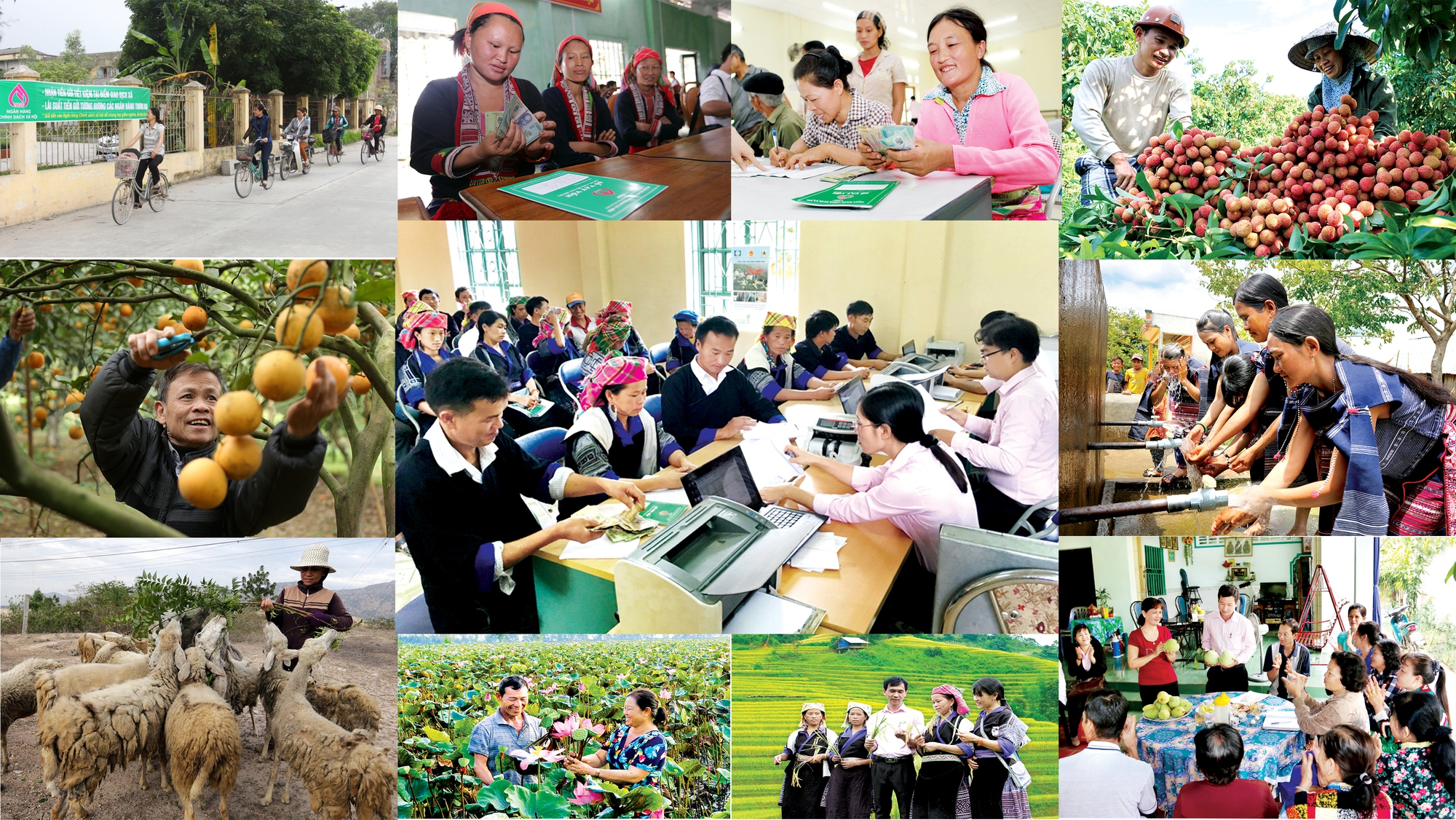 Luật Các tổ chức tín dụng sửa đổi 2024 bổ sung nhiều quy định về Ngân hàng Chính sách xã hội.