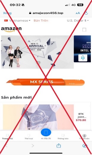 Giao diện trang thương mại điện tử giả mạo.