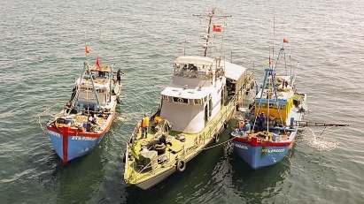 Northern localities step up measures to fight illegal fishing