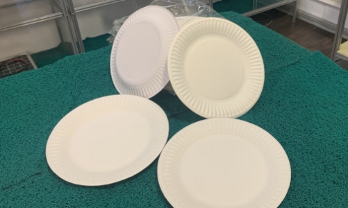 Hoa Kỳ khởi xướng điều tra chống bán phá giá và chống trợ cấp với đĩa giấy nhập khẩu từ Việt Nam