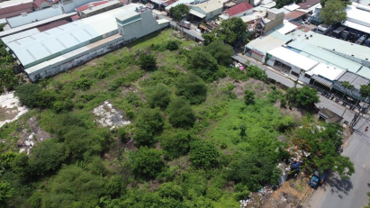 Dong Nai to auction 17 land plots