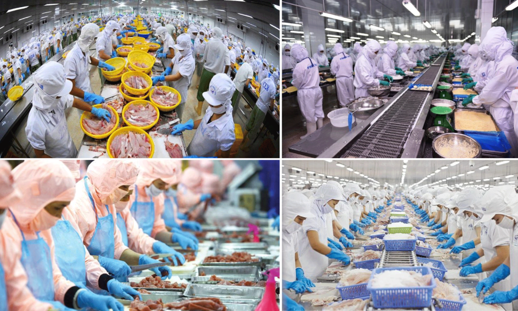 Xuất khẩu thủy sản đã đạt được tăng trưởng cao