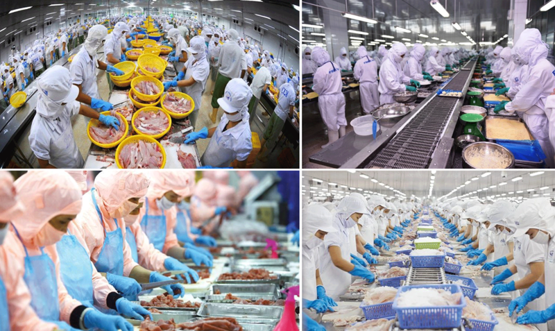 January seafood export revenue up 64%