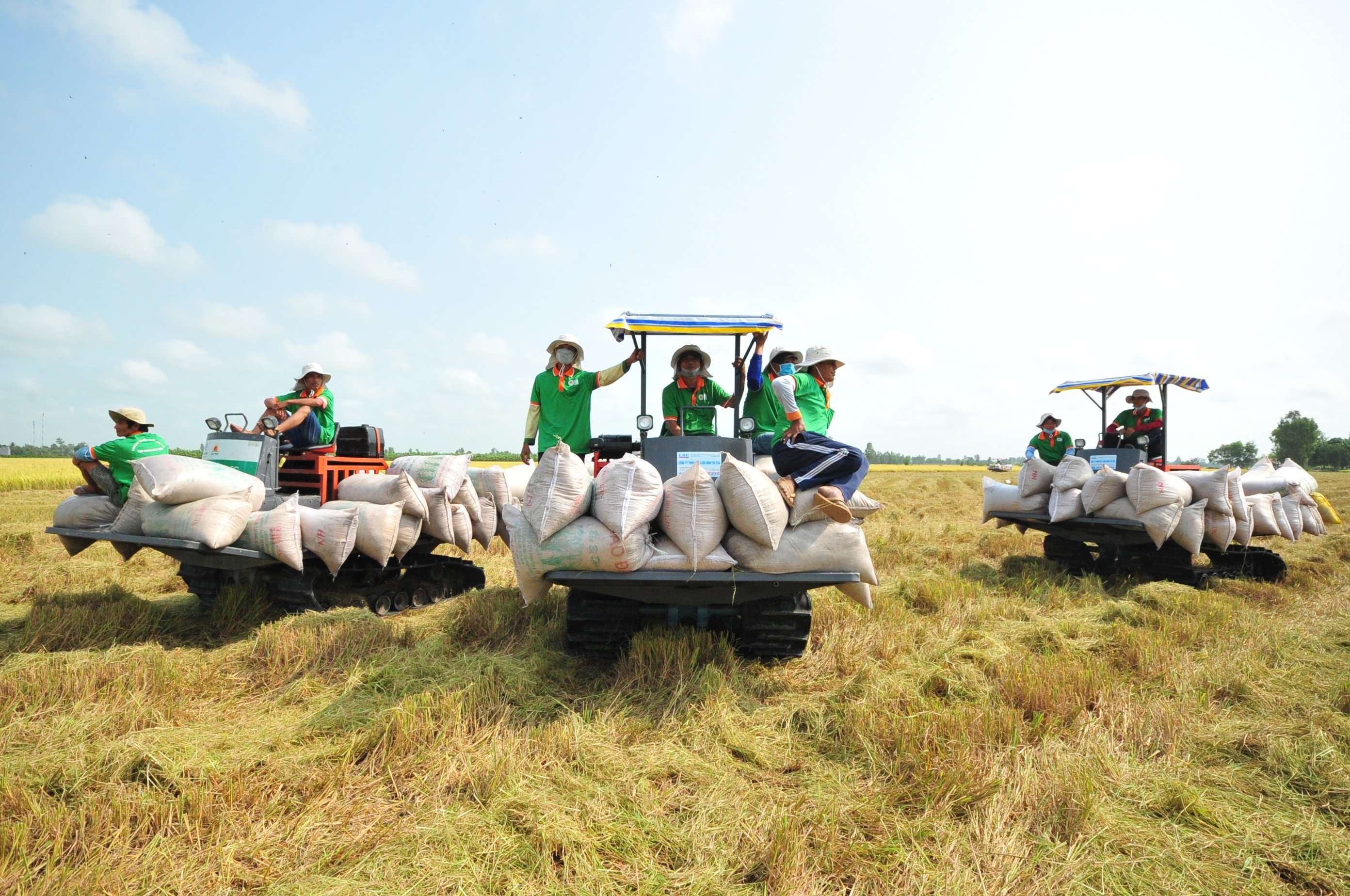 Năm 2023, Indonesia đã vươn lên trở thành nhà nhập khẩu lớn thứ 2 của gạo Việt Nam.