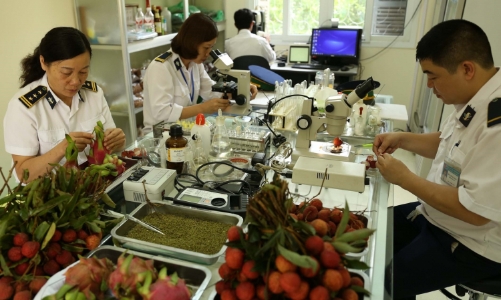 Hơn 80 dòng hàng nông nghiệp sắp miễn kiểm tra chuyên ngành trước thông quan