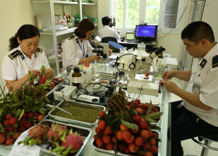 Các dòng hàng được cắt giảm gồm: 04 dòng hàng kiểm dịch động vật thủy sản và gần 80 dòng hàng kiểm dịch thực vật.