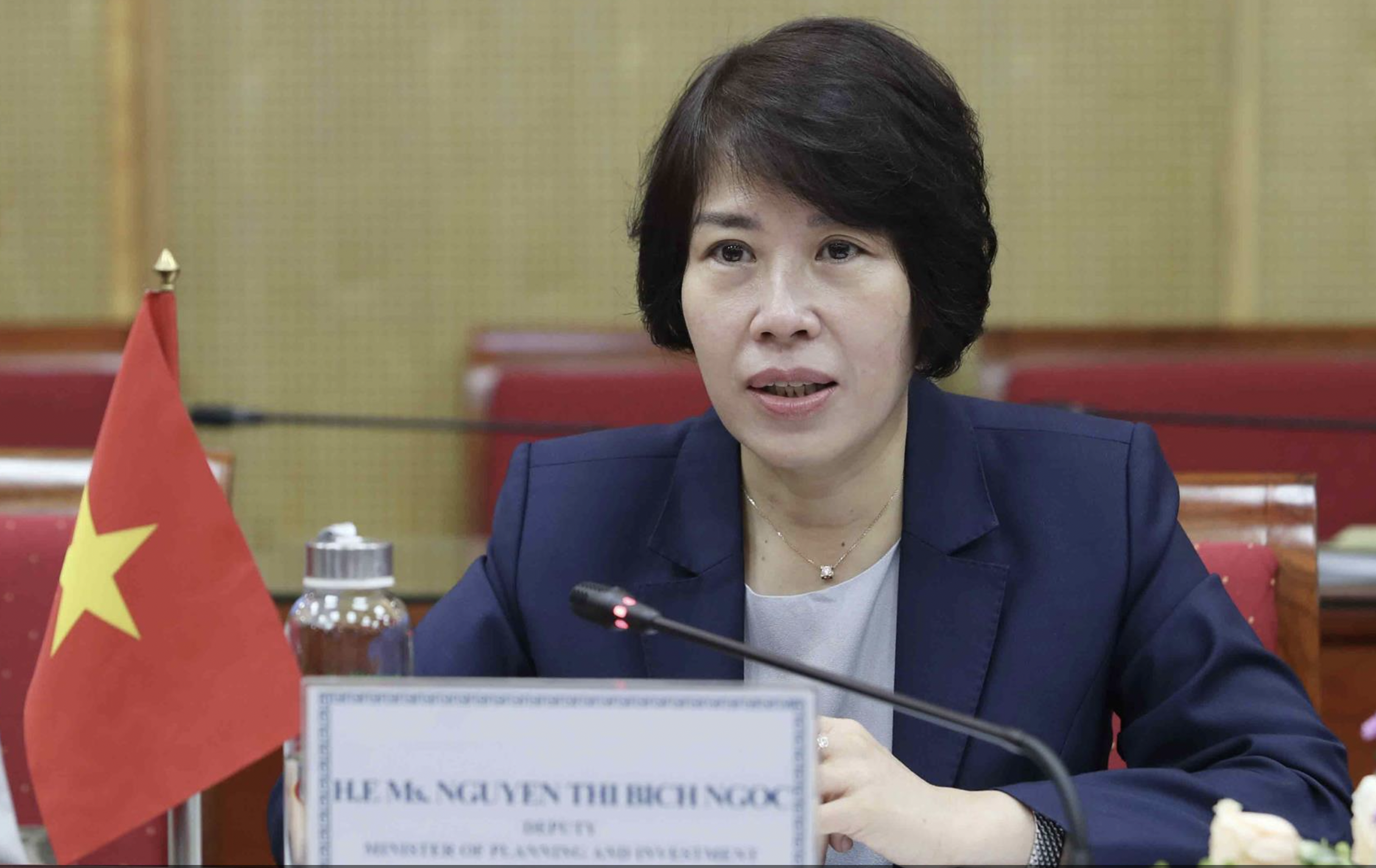 Thứ trưởng Bộ Kế hoạch và Đầu tư Nguyễn Thị Bích Ngọc.