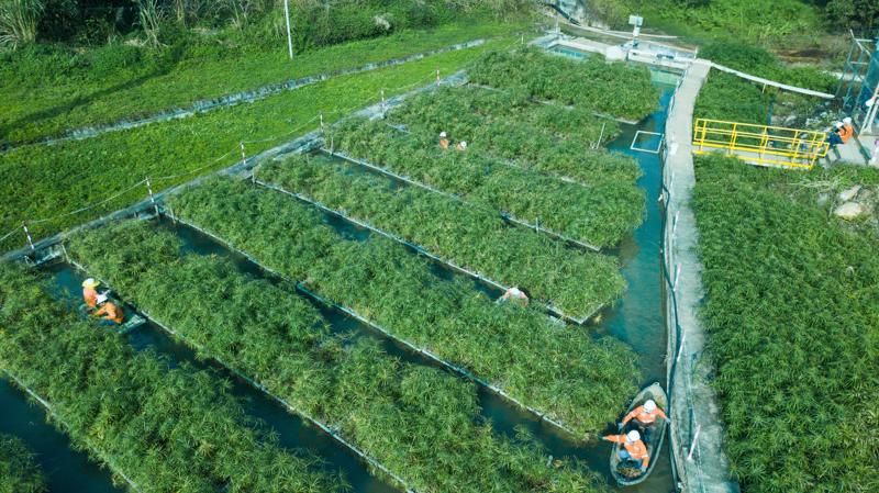 Tu&acirc;n thủ c&aacute;c quy định bảo vệ m&ocirc;i trường, gần 80% tỷ lệ nước được t&aacute;i sử dụng tại Masan High-Tech Materials.