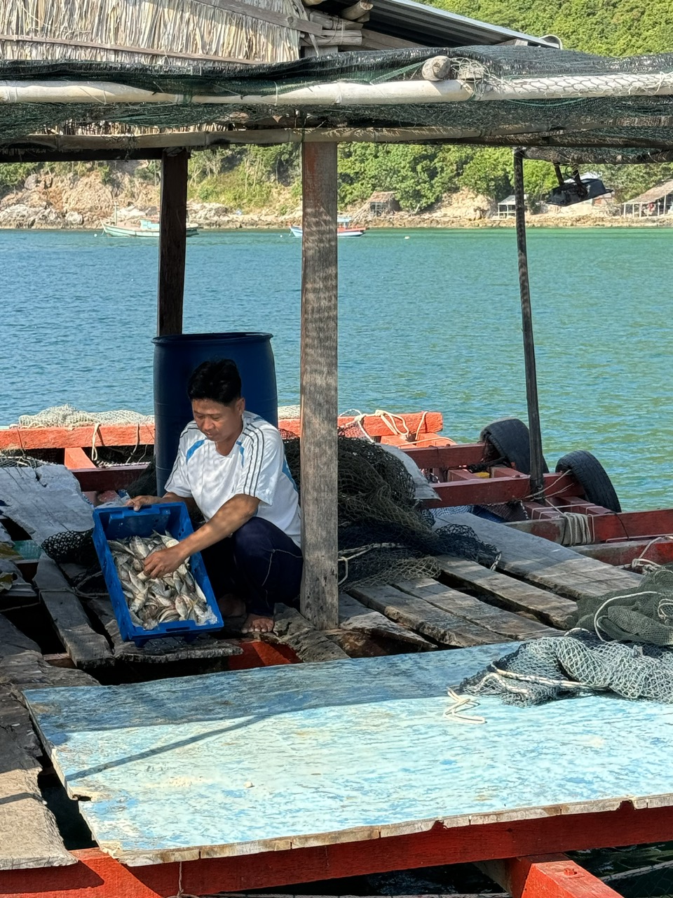 Dự án nuôi cá lồng bè ở xã An Sơn. Ảnh: An Thơ