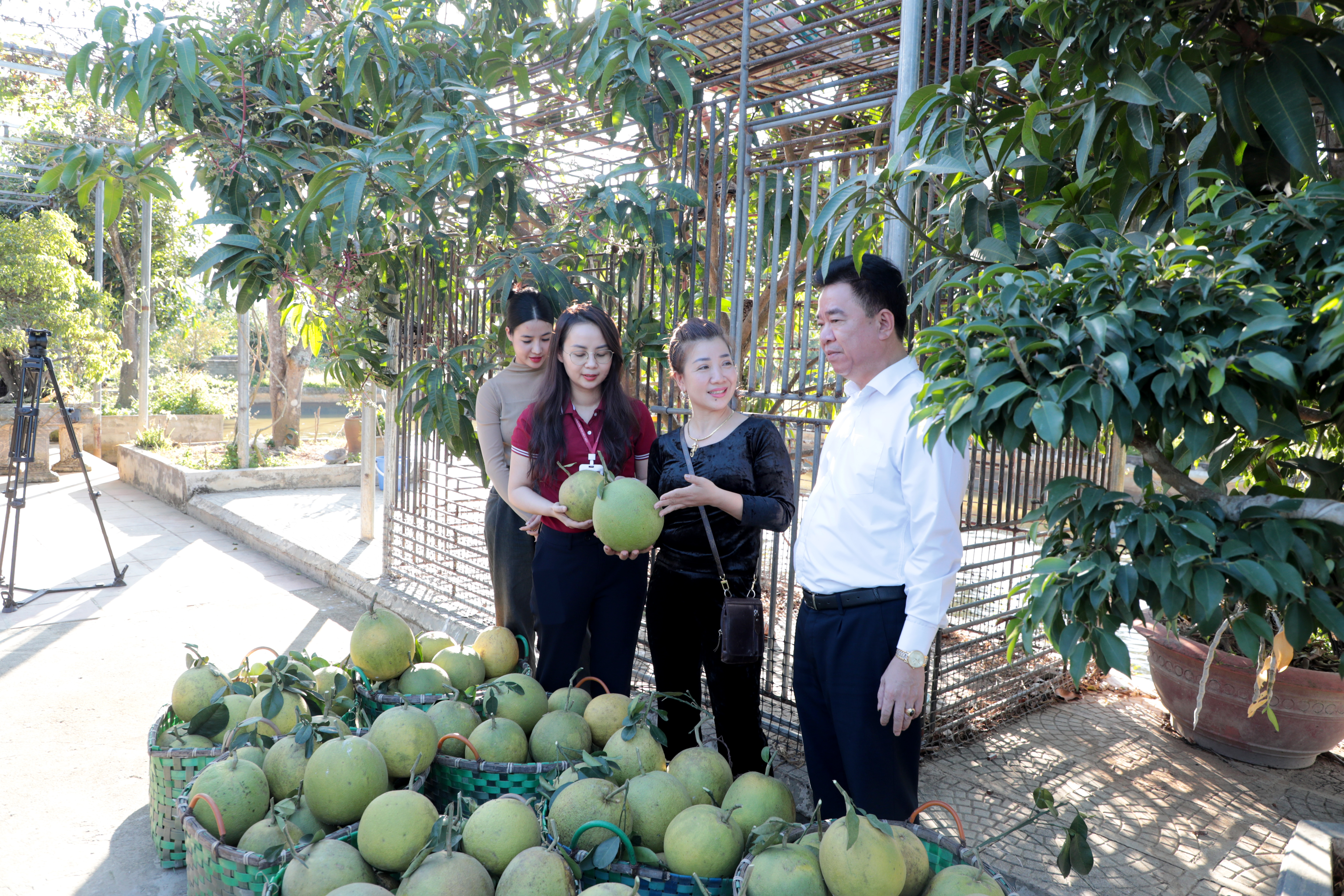 Một dự án nông nghiệp sạch ở Mường Nhé vay vốn của Agribank. Ảnh: Đăng Khoa