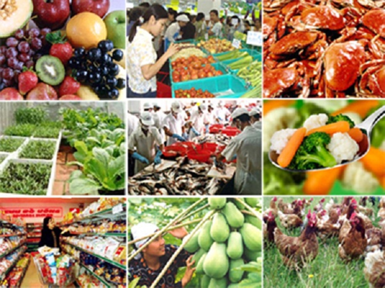 Sản xuất nông nghiệp 2 tháng đầu năm 2024 nhìn chung vẫn ổn định.