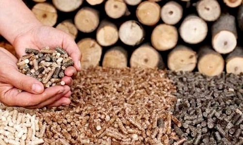 Nhiều doanh nghiệp muốn đầu tư nhà máy sản xuất viên nén năng lượng tại Quảng Trị